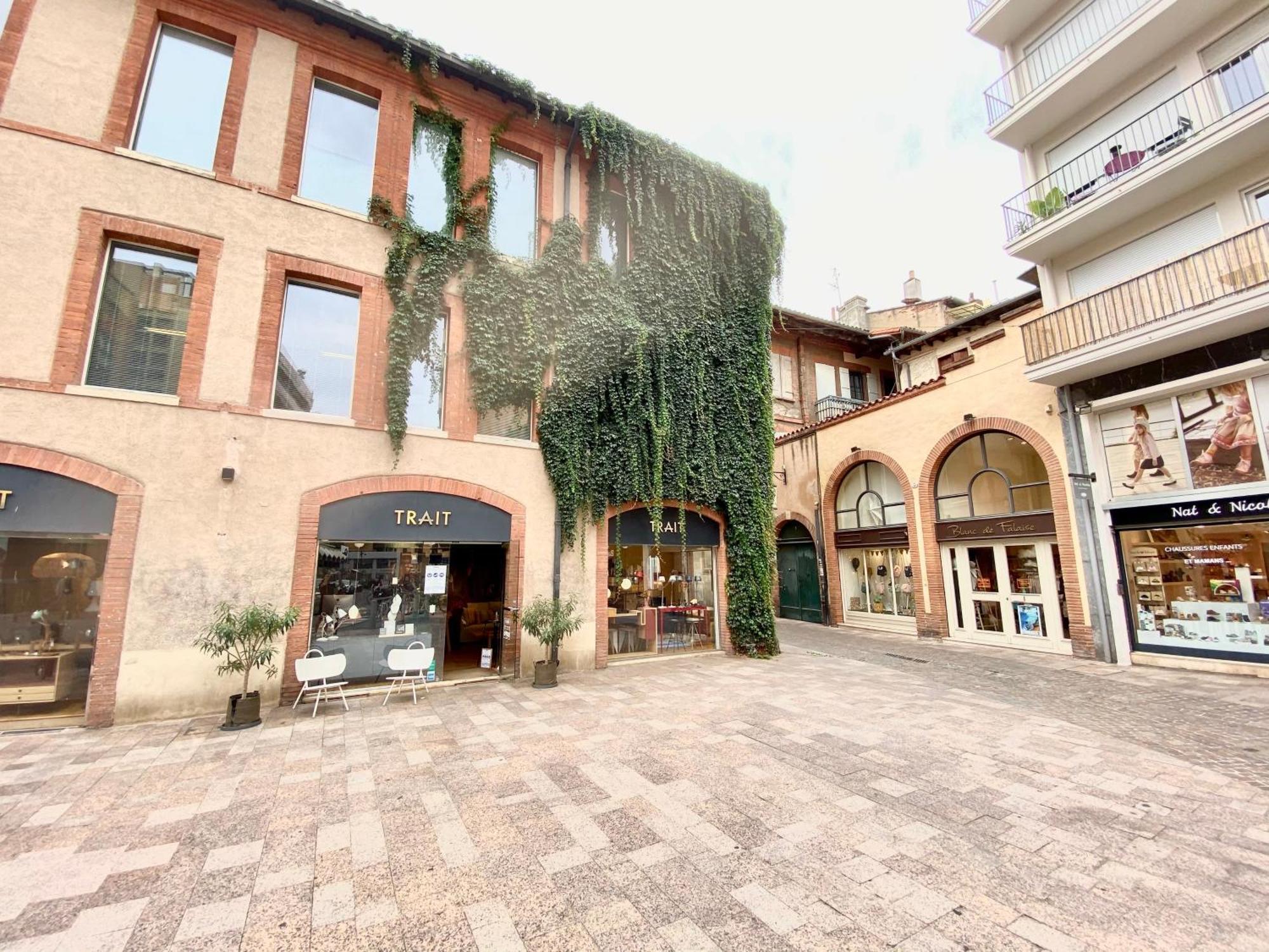 Le Central Perk - Centre Historique Toulousain Тулуза Екстер'єр фото