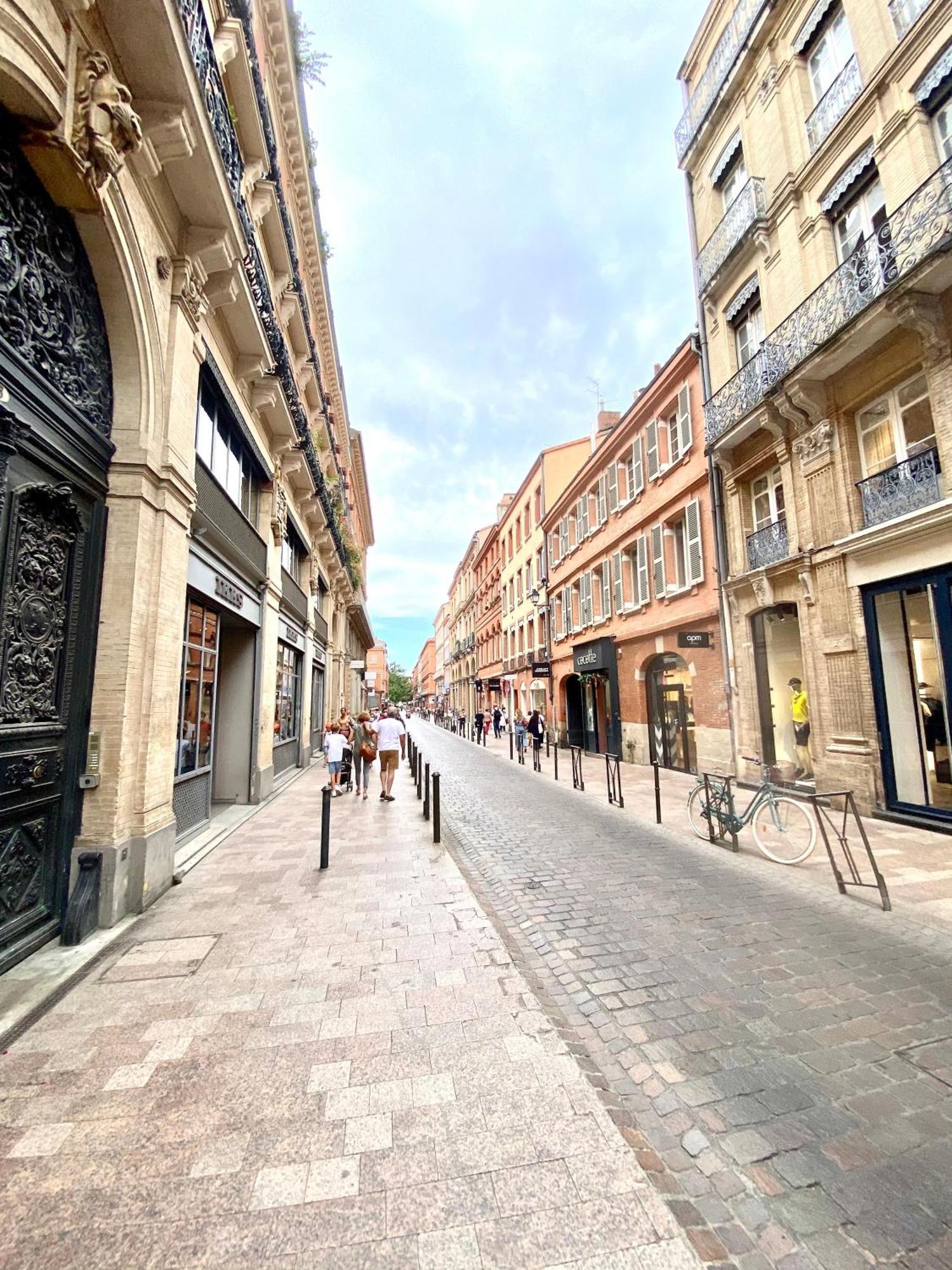 Le Central Perk - Centre Historique Toulousain Тулуза Екстер'єр фото